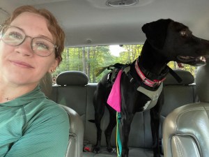 A woman in the front seat of a car with an excited black dog in the back seat